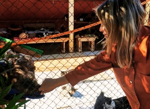 Primeira-dama de Avaré doa 150 cobertores para animais da entidade Amor de Quatro Patas