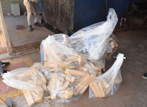 Avaré: DISE incinera 350 quilos de drogas