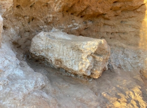 Fóssil de dinossauro é encontrado em obra rodoviária em Marília (SP)
