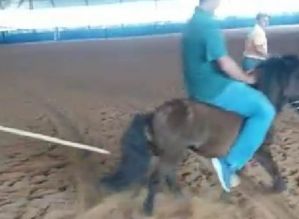 Avaré: Crueldade na Emapa revolta e já causa suspeitas