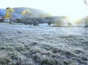 Papo com a Magali -  Temperaturas baixas exigem cuidados !