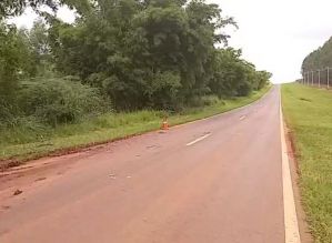 Idoso é socorrido após levar mais de 2 mil picadas de abelha ao andar de bicicleta em rodovia
