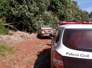 Polícia Civil deflagra operação para reprimir furtos de gado e de máquinas agrícolas