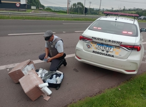 Homem é preso por descaminho transportando centenas de iPhones na Rodovia Castello Branco