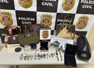  Polícia Civil de Avaré prende membros de grupo especializado em furtar casas de alto padrão 