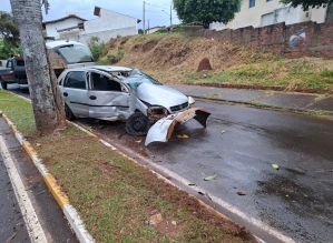 Jovens se ferem após carro bater em coqueiro em Avenida de Avaré