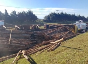 Carreta com madeira tomba e interdita trecho da SP-255 entre Itaí e Avaré