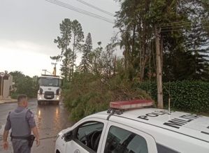 Tempestade provoca interdição de rua e queda de árvores no interior de SP