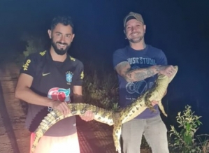 Jacaré é flagrado durante “passeio noturno” em Cerqueira César