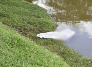 Corpo de idoso é encontrado boiando no lago municipal de Manduri