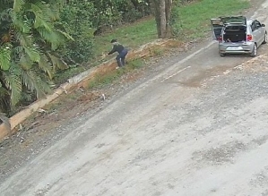 Mulher arremessa e abandona filhotes de cachorro em estrada no interior de SP