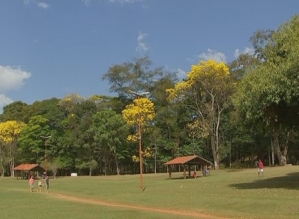 Mulher denuncia ato obsceno ao passear com filho no Horto Florestal de Avaré