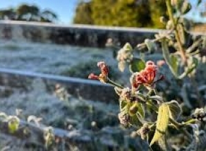 Defesa Civil emite alerta para queda de temperatura no Estado de SP