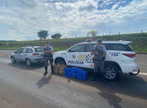 Homem é preso com 82 tabletes de maconha em rodovia de Santa Cruz do Rio Pardo