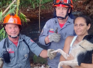 Bombeiros resgatam cadela que ficou presa em bambuzal nas margens de rio no interior de SP