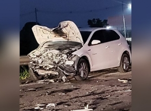 Carro atropela búfalo e é atingido por outros três veículos na Castello Branco