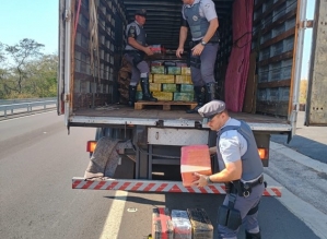 Caminhão é apreendido com tijolos de maconha em meio à carga de livros no interior de SP