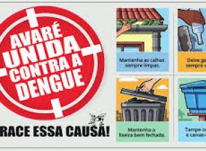 Vigilância Epidemiológica divulga dados sobre o Mosquito da Dengue em Avaré