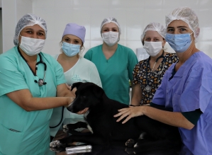 Medicina Veterinária Eduvale promove ação de castração gratuita