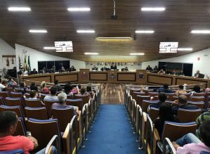Proibição a fogos com estampido poderá ser votada no início de março