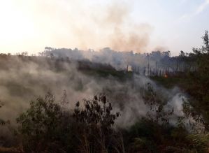 Fogo atinge área de mata e mobiliza bombeiros em Avaré
