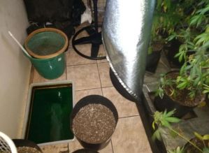 Polícia encontra laboratório de drogas dentro de casa em Bernardino de Campos