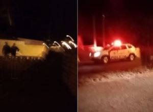 Onça-parda mobiliza agentes em Cerqueira César