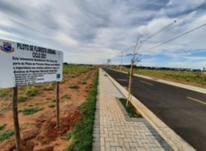 Avaré ganha novo piloto de Floresta Urbana