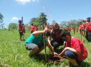 Alunos de projeto social participam do plantio de mudas nativas no Horto