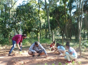Avaré: Projeto do Meio Ambiente cria horta orgânica no Horto Florestal