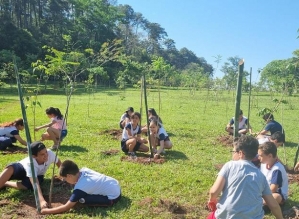 Meio Ambiente encerra ano com certificado em programa de gestão ambiental