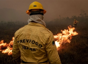 Na gestão Bolsonaro, nº de multas pagas por crimes ambientais na Amazônia cai 93%