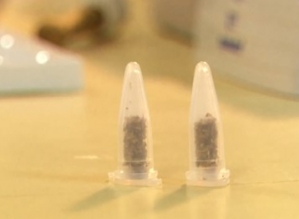 Nitazeno: saiba mais sobre opioide 20 vezes mais potente do que fentanil