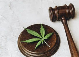 Descriminalização do porte da maconha é confundido nas redes com liberação da droga