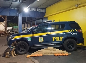 Homem é preso com mais de 450 kg de maconha na BR-153 em Ourinhos