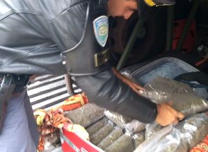 TOR prende mulher com droga conhecida por “supermaconha”