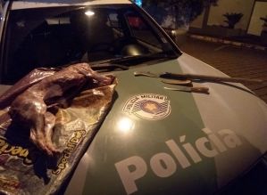 Policiais Ambientais flagram homem em caça ilegal