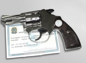 Comissão do Senado autoriza posse de arma de fogo por moradores da zona rural