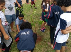 Avaré: Alunos e moradores plantam mudas em praça no Bairro Alto