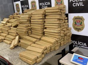 Polícia encontra quase 500 kg de maconha em compartimento secreto de caminhão  em Iaras