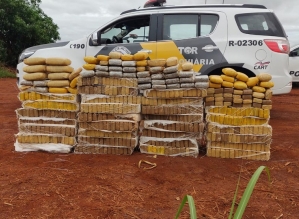 Motorista abandona carro com mais de 400 quilos de maconha em canavial de Ourinhos