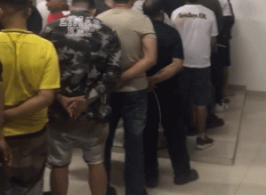 Polícia Civil estoura “rinha” de cães e prende 37 pessoas