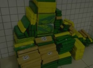 Polícia apreende 241 kg de maconha na Rodovia Castello Branco