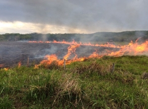Secretaria alerta sobre riscos de incêndios em áreas rurais