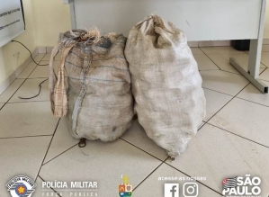 Casal é preso pela PM furtando laranja na área rural para revender em Avaré