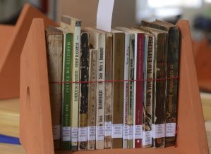 Mercado literário brasileiro está em transformação, dizem escritores