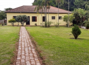 Avaré: Meio Ambiente lança pesquisa sobre arborização urbana