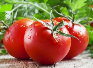 PAPO COM A MAGALI – Os benefícios do Tomate
