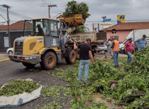 Prefeitura de Avaré trabalha para recuperar danos causados por vendaval