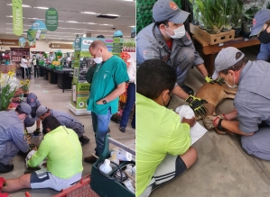 Veado invade supermercado em Avaré e é capturado pelos Bombeiros